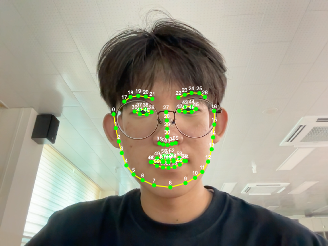 얼굴 랜드마크 검출 화면